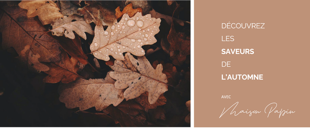 C'est l'Automne !